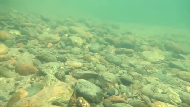 Газ 3308 #96 12 07,18 Томь часть вторая смотреть онлайн