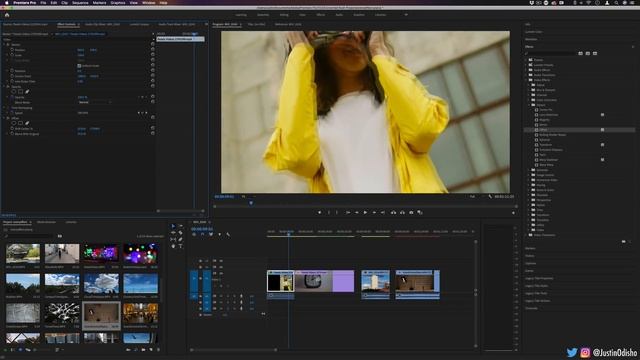 How to use Distort Effects in Adobe Premiere Pro (Every Effect Explained) смотреть онлайн