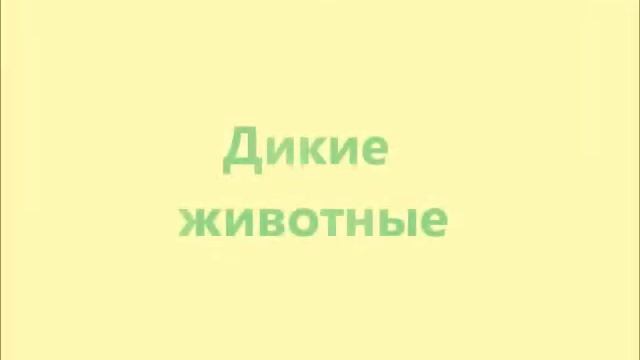 Многообразие млекопитающих (Звуки животных) смотреть онлайн