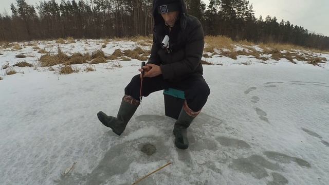 Зимня рибалка ❄️❄️в Україні на річці Уж, в затоні серед дикої природи? де водиться окунь плотва.?? смотреть онлайн