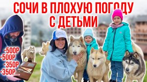 Сочи с детьми в плохую погоду \ Отдых с детьми \ Что посмотреть в Сочи \ Куда сходить в Сочи