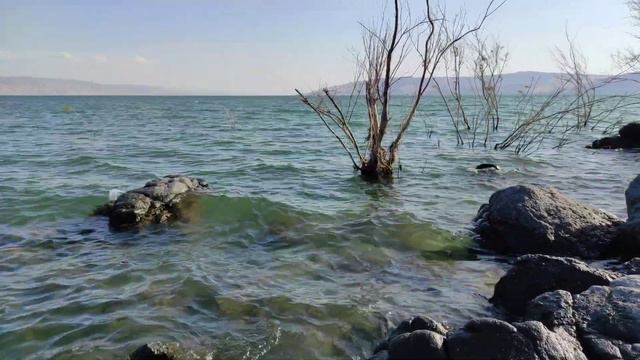 Генисаретское озеро. Небольшое видео для вас, друзья. Естественные звуки. Израиль 🇮🇱🌴. смотреть онлайн