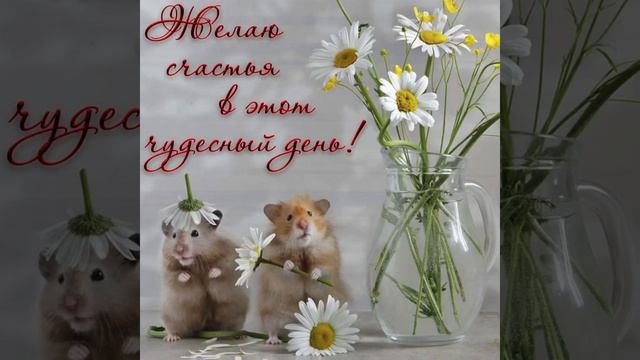 С Добрым Утром ☀️ Чудесного дня и Прекрасного настроения 🌸🌸🌸 смотреть онлайн