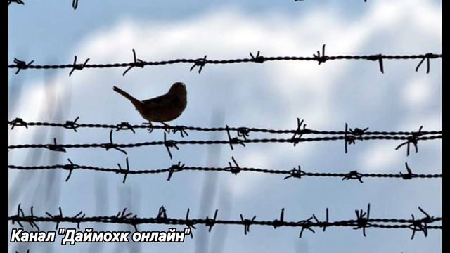 Неожиданный звонок про бывшего заключенного. смотреть онлайн