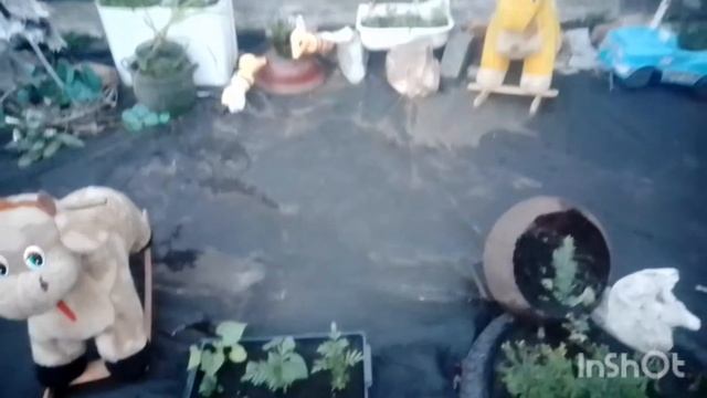 Игровая площадка или цветник. Поделки из бросового материала. смотреть онлайн