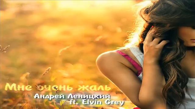 Андрей Леницкий feat. Elvin Grey - Мне очень жаль 2014 Премьера песни!