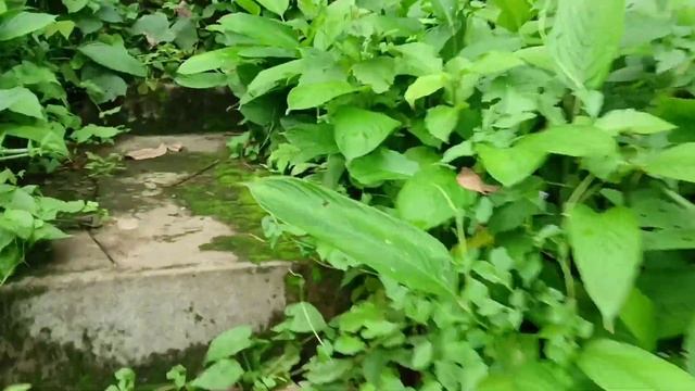 Evening Ride || Gone wrong ? смотреть онлайн