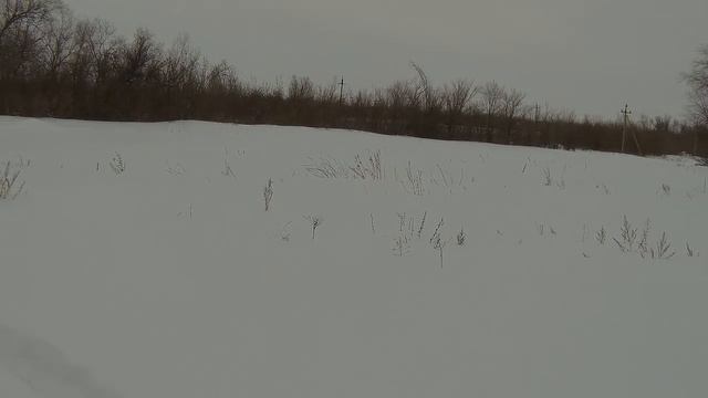 Охота на зайца. Закрытие сезона. Февраль 2021г. смотреть онлайн