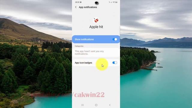 Samsung Galaxy S20 : How to show or hide App icon badges notifications of a specific app смотреть онлайн