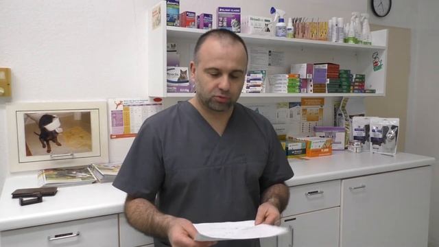 Как избавиться от блох?! смотреть онлайн