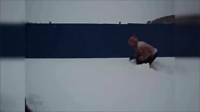 Как лисы охотятся на мышей человеческая версия To be Continued смотреть онлайн
