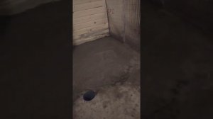 Заливка стяжки пола в бане под кафель