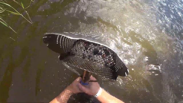 Где золото?? смотреть онлайн