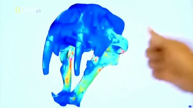 NATIONAL GEOGRAPHIC САБЛЕЗУБЫЙ ТИГР ДИКАЯ ПРИРОДА смотреть онлайн