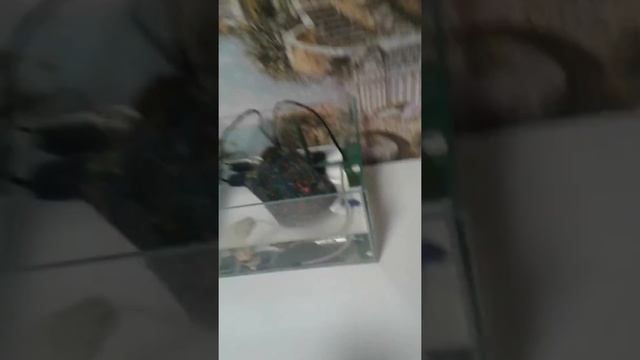 Куда поставить новую свою палку. смотреть онлайн