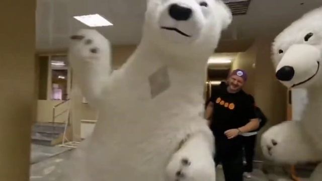 Ростовые медведи на обучении? ... А вот так сможет? Он ещё и не так может? смотреть онлайн