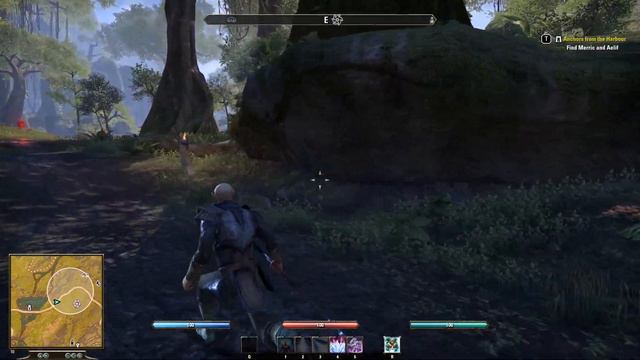 Let's Play THE ELDER SCROLLS ONLINE Part 15 | ADD ONS! смотреть онлайн