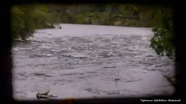 Дикая природа Аляски Бурые медведи ловят лосося в водопадах реки Брукс Рыбы хватило всем Ч 1 смотреть онлайн