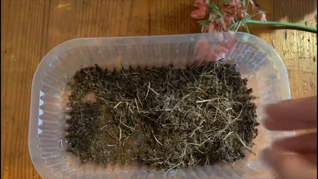 Geranio: Cure e Segreti смотреть онлайн