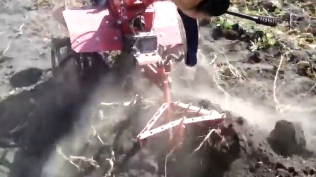 ??Копка картофеля мотоблоком на железных колёсах / 1 часть смотреть онлайн