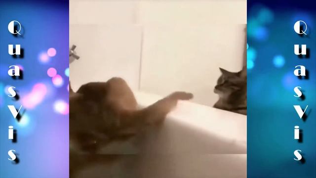 R U Ready??The most unexpected funny fails/vines! Part 3 смотреть онлайн