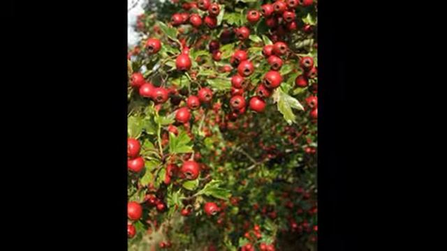 Лайфхаки для Путешествий