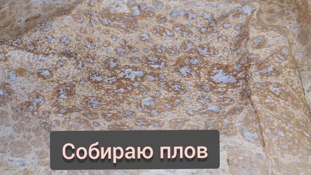 Кулинарные эксперименты