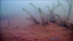 РЫБАЛКА НА ЗИМНЮЮ УДОЧКУ ЛЕТОМ.