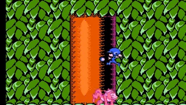 Trolls in Crazyland NES/Dendy прохождение [100] смотреть онлайн