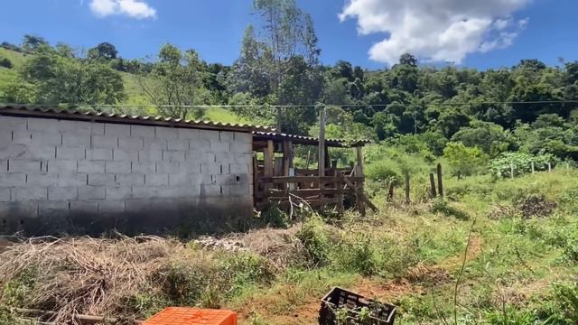 SÍTIO DE 37 HECTARES IDEAL PARA CRIAÇÃO DE GADO E PLANTIO DE CAFÉ, VALOR DE 1.800 MILHÃO. смотреть онлайн