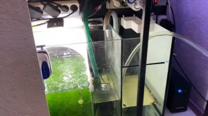 Оборудование и подмена воды в морском аквариуме.