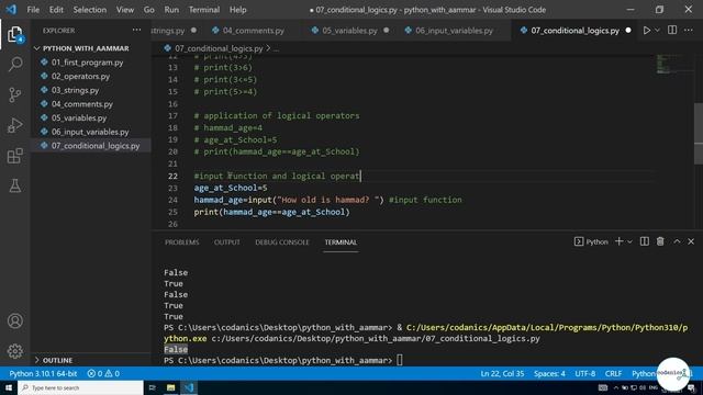 Python-101 for Data Science in Urdu/Hindi - Complete Course смотреть онлайн
