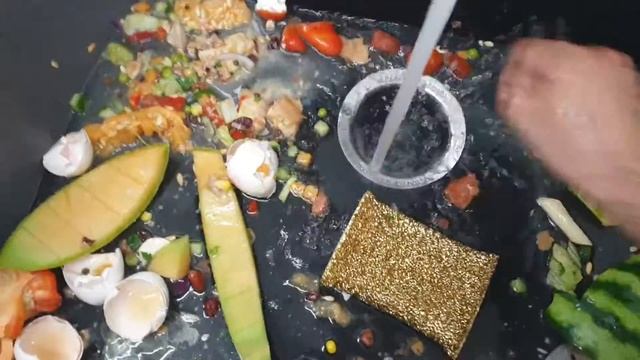 Insinkerator Evolution 250 טוחן אשפה