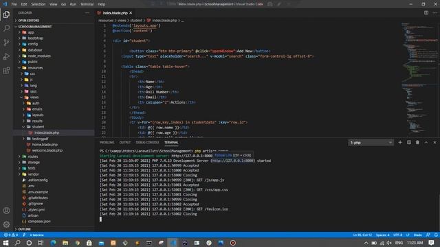 Run Local Laravel Project on other computer without hosting for demo purposes with ngrok смотреть онлайн
