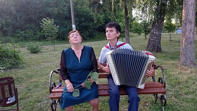 ВАСИЛИЙ НЕСТЕРЕНКО - КАК ВЗЯТЬ СЕБЯ В РУКИ / ДУШЕВНАЯ ПЕСНЯ ПОД БАЯН смотреть онлайн