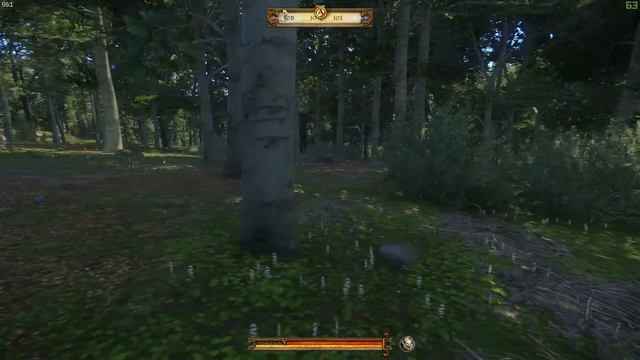 Kingdom Come  Deliverance 007