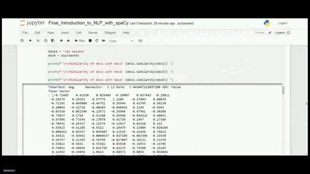 Introduction to NLP with Python spaCy смотреть онлайн
