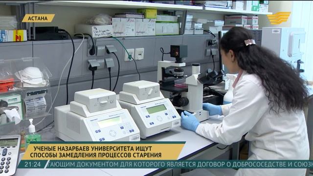 Ученые Назарбаев университета ищут способы замедления процессов старения