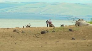 «Лето без билета»: секретные заливы Красноярского моря
