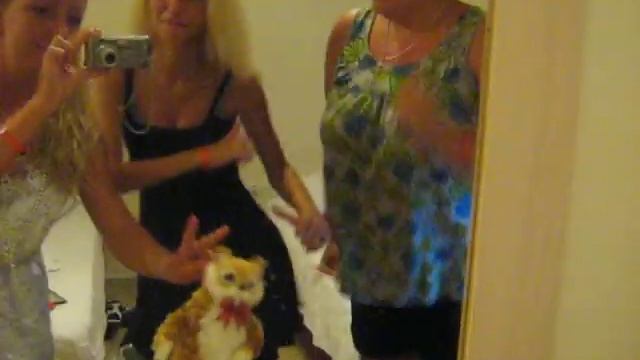 Крэйзи котэ в моё ДР 31.08.2012 и я, Света и Лиза смотреть онлайн