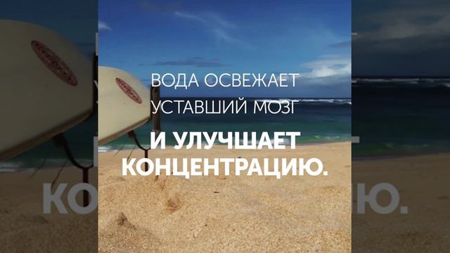 Надо жить у моря смотреть онлайн
