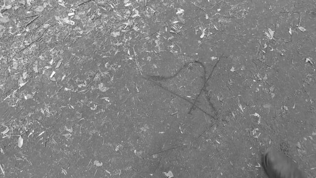 Распределение Гаусса