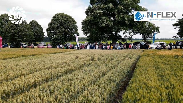 ОТКРИТ ДЕН НА ПОЛЕТО I Представяне LG Рапица и Пшеница сеитба 2023г., с. Безводица, обл. Добрич смотреть онлайн