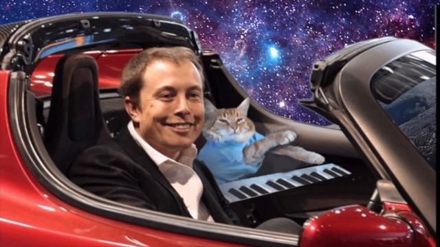 Elon Musk and Keyboard Cat in Space FOR SALE! смотреть онлайн