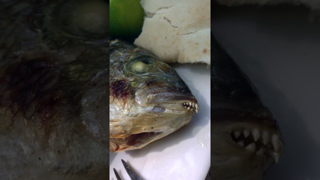 Почему едут в Израиль - Израиль за одну минуту