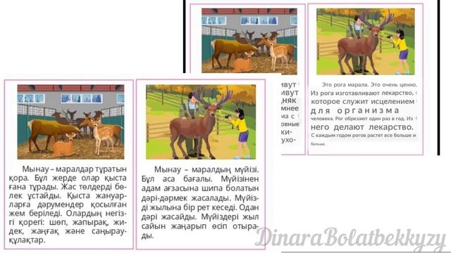 Казахский язык. 4 класс. 4 сынып. Қорықта. Для русских школ. Қазақ тілі. смотреть онлайн