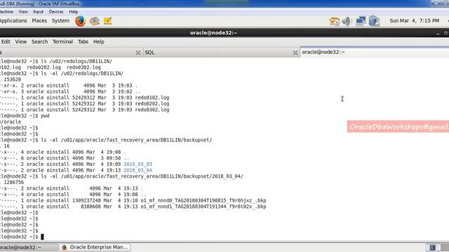 Simplified DBA-022-04- RMAN Incremental Level Backups смотреть онлайн