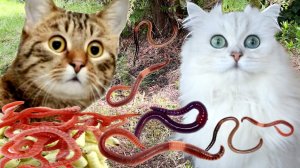 ЧЕРВИ АТАКУЮТ!!!  Кто нас СПАСЁТ???? ДЕТЯМ смотреть НЕЛЬЗЯ!!!