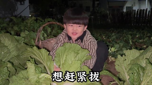 这婆媳关系让人羡慕，儿媳过生日婆婆送大金镯，说出原因让人感动