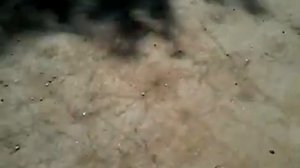 Щебёнка на халяву. Сделал пол в гараже.